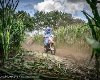 Boerenrock Festival Enduro photo