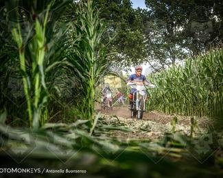 Boerenrock Festival Enduro photo