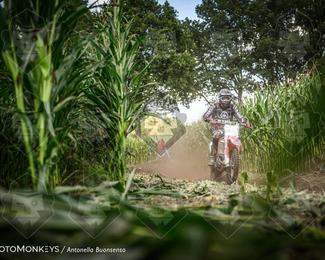 Boerenrock Festival Enduro photo