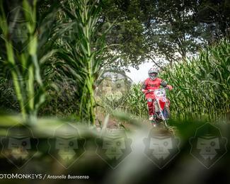 Boerenrock Festival Enduro photo