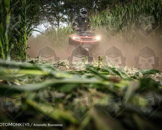 Boerenrock Festival Enduro photo