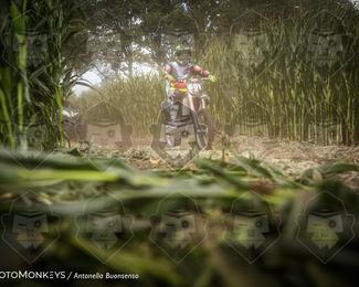 Boerenrock Festival Enduro photo