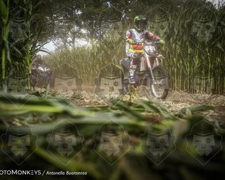 Boerenrock Festival Enduro photo