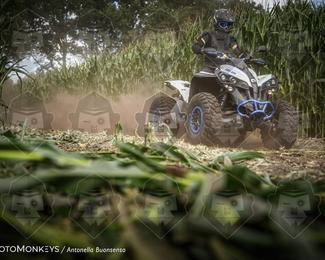 Boerenrock Festival Enduro photo