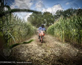 Boerenrock Festival Enduro photo