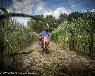 Boerenrock Festival Enduro photo