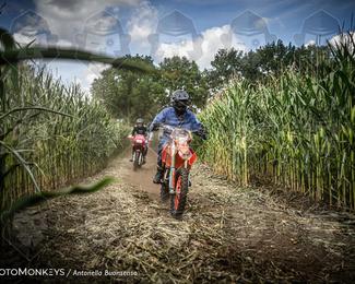 Boerenrock Festival Enduro photo