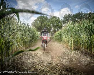 Boerenrock Festival Enduro photo