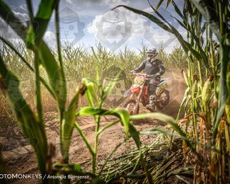 Boerenrock Festival Enduro photo
