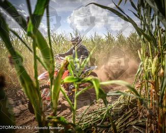 Boerenrock Festival Enduro photo