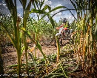 Boerenrock Festival Enduro photo