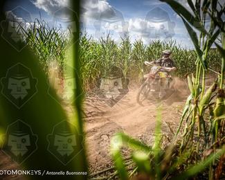 Boerenrock Festival Enduro photo