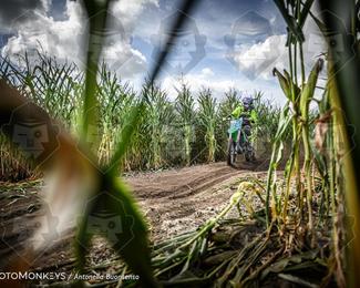 Boerenrock Festival Enduro photo