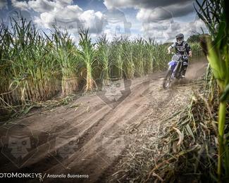 Boerenrock Festival Enduro photo