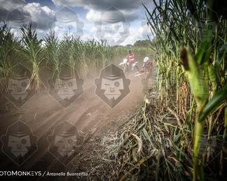 Boerenrock Festival Enduro photo