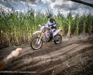 Boerenrock Festival Enduro photo