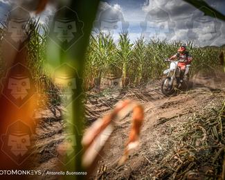Boerenrock Festival Enduro photo