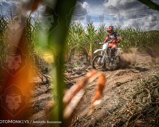 Boerenrock Festival Enduro photo