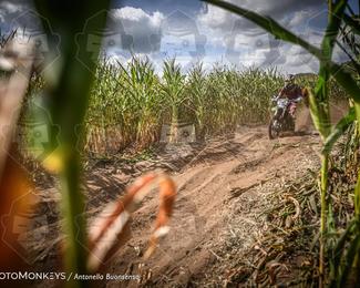 Boerenrock Festival Enduro photo