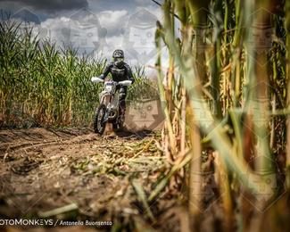 Boerenrock Festival Enduro photo