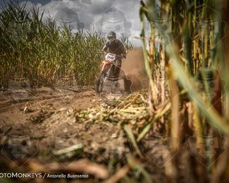 Boerenrock Festival Enduro photo