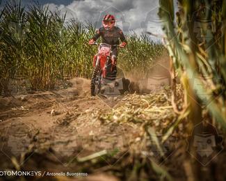 Boerenrock Festival Enduro photo