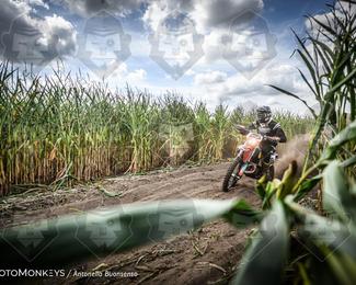Boerenrock Festival Enduro photo