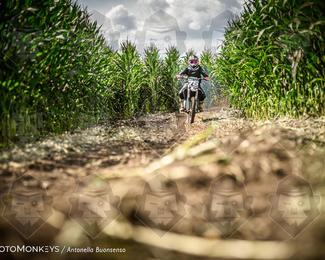 Boerenrock Festival Enduro photo