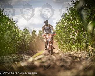 Boerenrock Festival Enduro photo