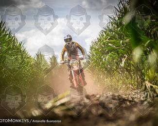 Boerenrock Festival Enduro photo