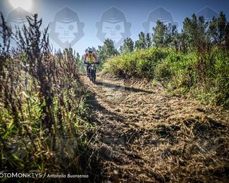 Boerenrock Festival Enduro photo
