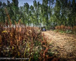Boerenrock Festival Enduro photo