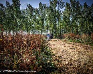 Boerenrock Festival Enduro photo