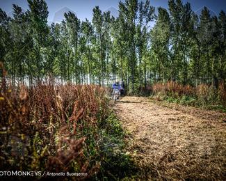 Boerenrock Festival Enduro photo