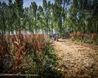 Boerenrock Festival Enduro photo