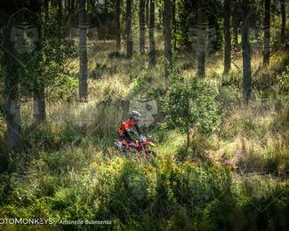 Boerenrock Festival Enduro photo