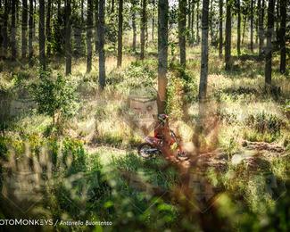 Boerenrock Festival Enduro photo