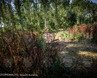 Boerenrock Festival Enduro photo