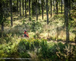 Boerenrock Festival Enduro photo