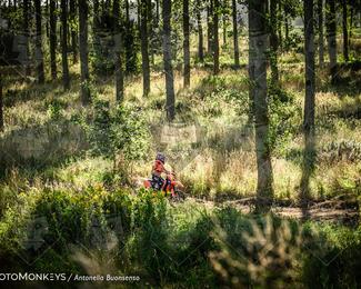 Boerenrock Festival Enduro photo