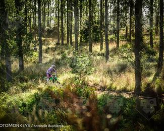 Boerenrock Festival Enduro photo