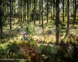 Boerenrock Festival Enduro photo