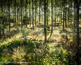 Boerenrock Festival Enduro photo