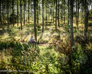 Boerenrock Festival Enduro photo