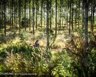 Boerenrock Festival Enduro photo