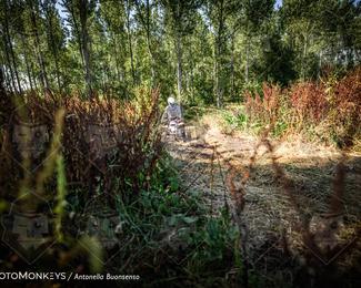 Boerenrock Festival Enduro photo