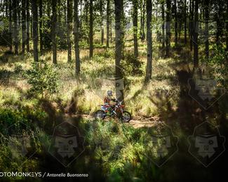 Boerenrock Festival Enduro photo