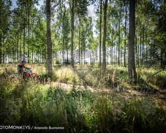 Boerenrock Festival Enduro photo