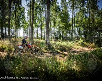 Boerenrock Festival Enduro photo