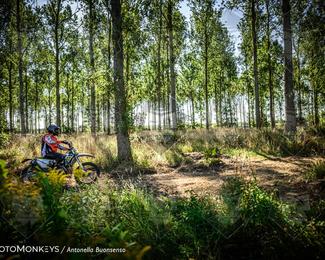 Boerenrock Festival Enduro photo